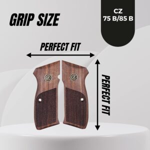 gun grips