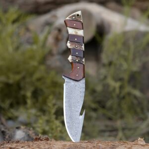 Sentinel Gut Hook Hunting Knife With Stag Horn & Exotic Rose Wood Mosaic Handle